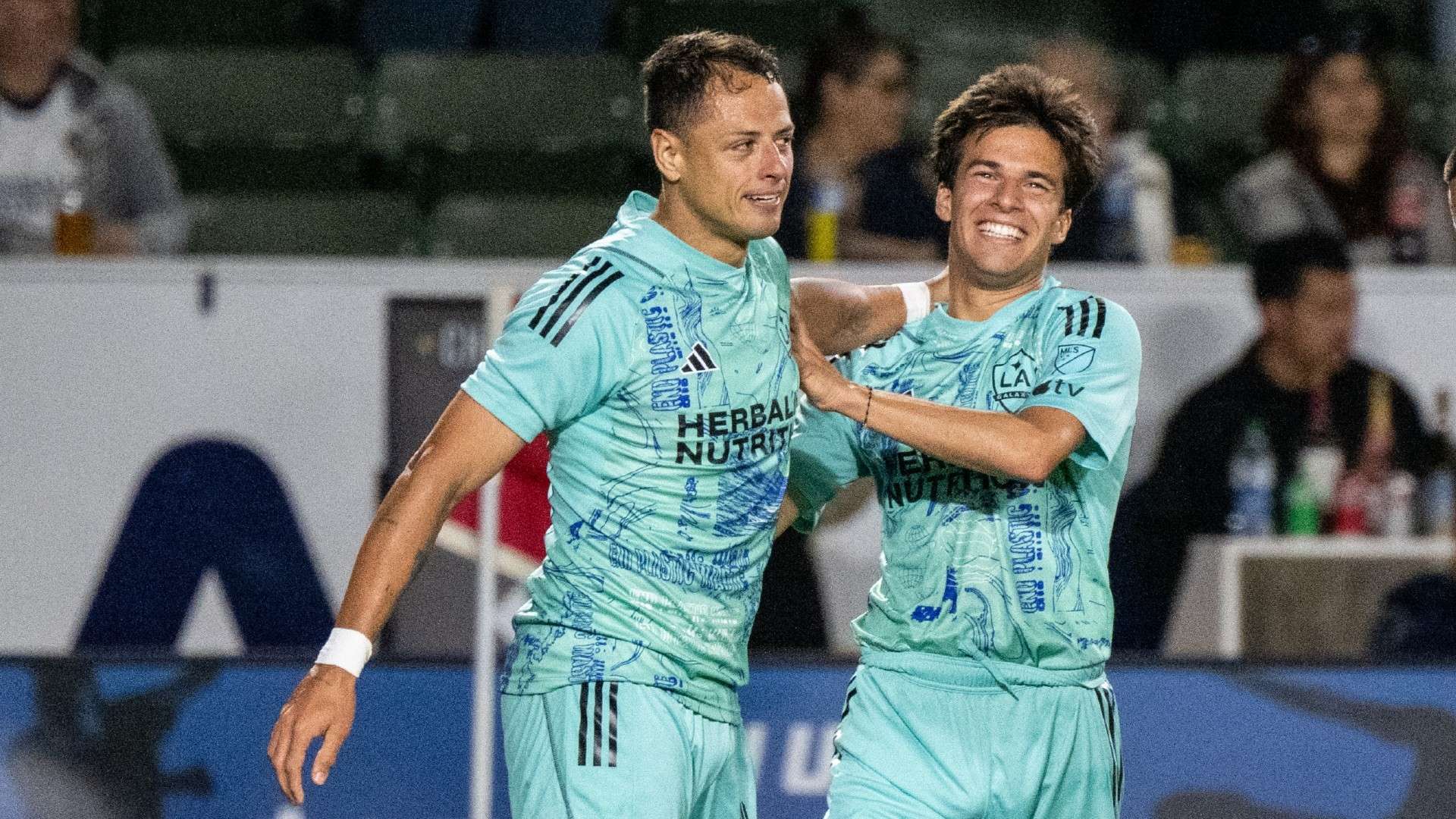 广东男篮主 广东男篮主